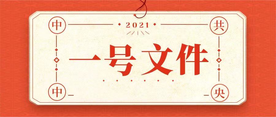2021年中央一号文件全文—— 中共中央 国务院关于全面推进乡村振兴加快农业农村现代化的意见