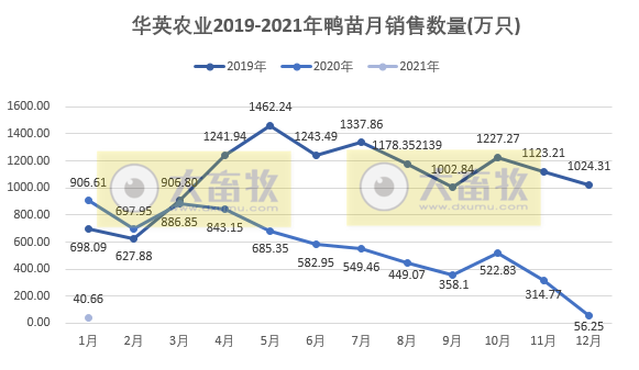 华英1月鸭苗销售同比下降9成多