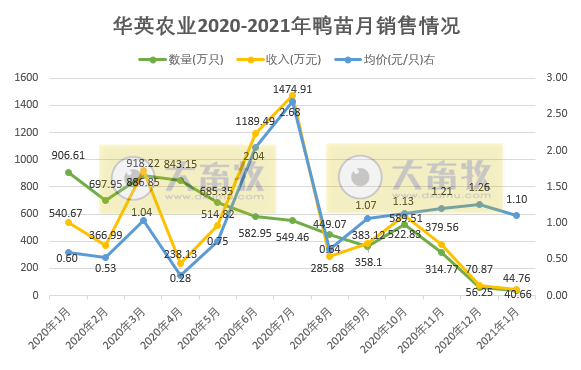 华英1月鸭苗销售同比下降9成多