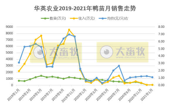 华英1月鸭苗销售同比下降9成多