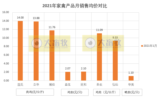 温氏、立华等8家企业1月家禽销售数据对比