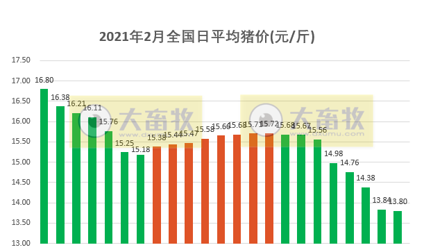 2021.02.24-今日猪价东北华北止跌上涨，仔猪价格下跌，屠企收购价连4周下跌，我国已有36.7万家猪养殖相关企业，上千万注册资本的只占3%