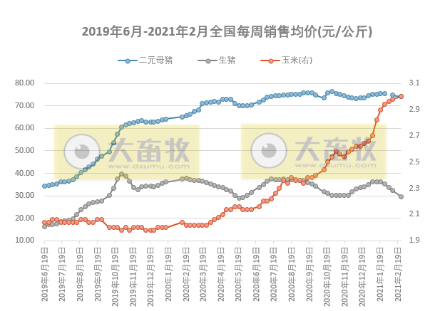 2021.02.27-今日猪价多省上涨零下跌，二元母猪价格下跌，猪粮比跌破10，回到2019年8月，马来西亚暴发非洲猪瘟疫情