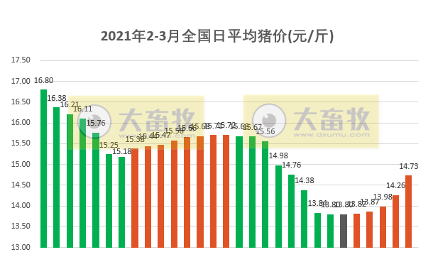 2021.03.02-今日猪价全面大涨,仔猪价格回升,玉米价格继续攀高,正邦3月投苗量将恢复200万头,温氏产学研合作再升级,瑞普2020年净利润翻倍