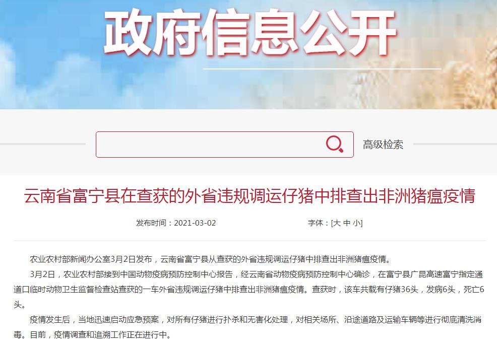 今年第3起!云南文山州富宁县在查获的外省违规调运仔猪中排查出非洲猪瘟疫情