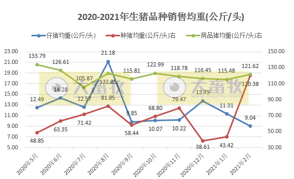 金新农2月生猪销量和收入环比下降五成,同比翻倍