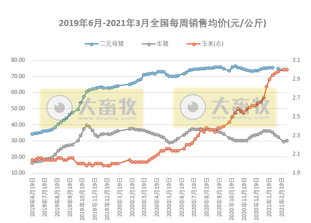2021.03.09-今日猪价全线飘绿，二元母猪价格上涨，拉网式排查非瘟假苗举报最高可奖3万元，正邦成功培育正邦I系种猪，因生猪影响新五丰去年净利增3倍多和普莱柯去年净利近增1倍