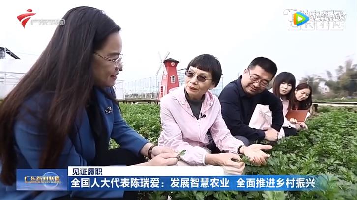 陈瑞爱:建议制定《农业农村金融法》,全面落实《生物安全法》