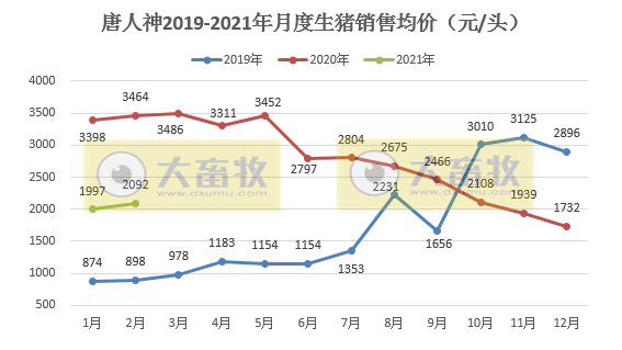 唐人神:1-2月生猪销量超31万头,同比增长近4倍