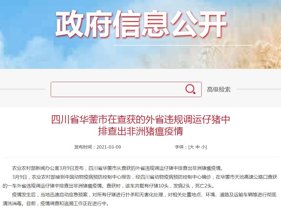 3月第4起！四川再次排查出一起非洲猪瘟疫情，死亡率100%