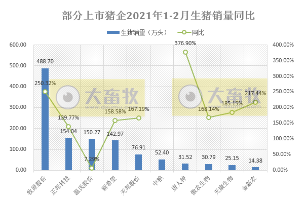 2021.03.11-今日猪价连跌8天,大多数猪企1-2月生猪销量增1-2倍,玉米价格继续高位震荡,贵州100个生猪重点项目陆续开工