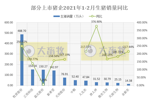 牧原1-2月生猪销量约500万头，同比增长250%，独占鳌头