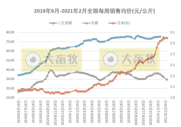 2021年2月生猪行业数据汇总