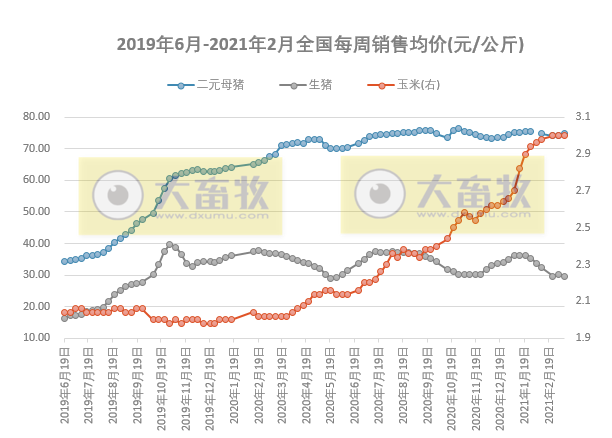 2021.03.13-今日猪价西南上涨,四川严禁从省外违规调运生猪,二元母猪价涨,屠企生猪价涨白条肉价跌,马来西亚首次发生非瘟