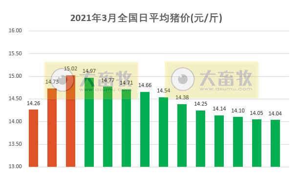 2021.03.14-今日猪价稳中有跌，仔猪价涨生猪价跌，那我们还要不要补栏？新希望不断加码生猪项目，河北今年要建100个非瘟防控示范场