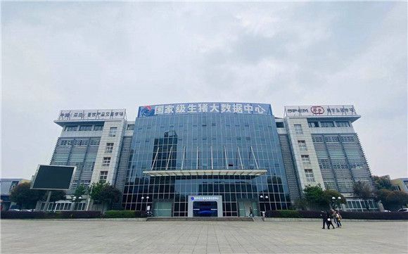 重庆荣昌:被大数据赋能的生猪有什么不一样?