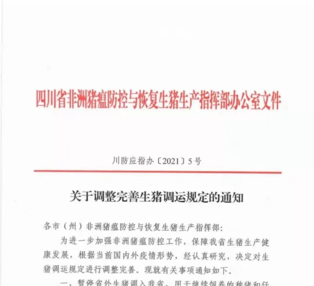 最新消息!四川全面禁止从省外违规调运生猪,种猪、仔猪跨省调运要隔离21天