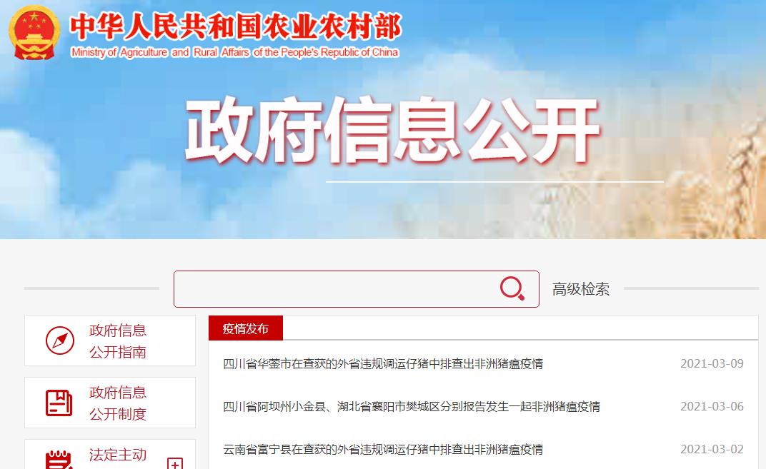最新消息!四川全面禁止从省外违规调运生猪,种猪、仔猪跨省调运要隔离21天