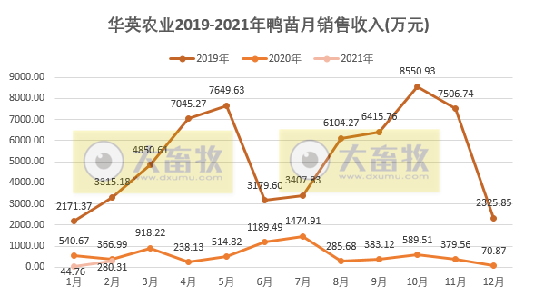 华英农业：2月鸭苗价格同比增7倍多，业绩明显有好转