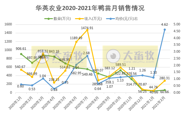 华英农业：2月鸭苗价格同比增7倍多，业绩明显有好转