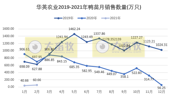 华英农业：2月鸭苗价格同比增7倍多，业绩明显有好转