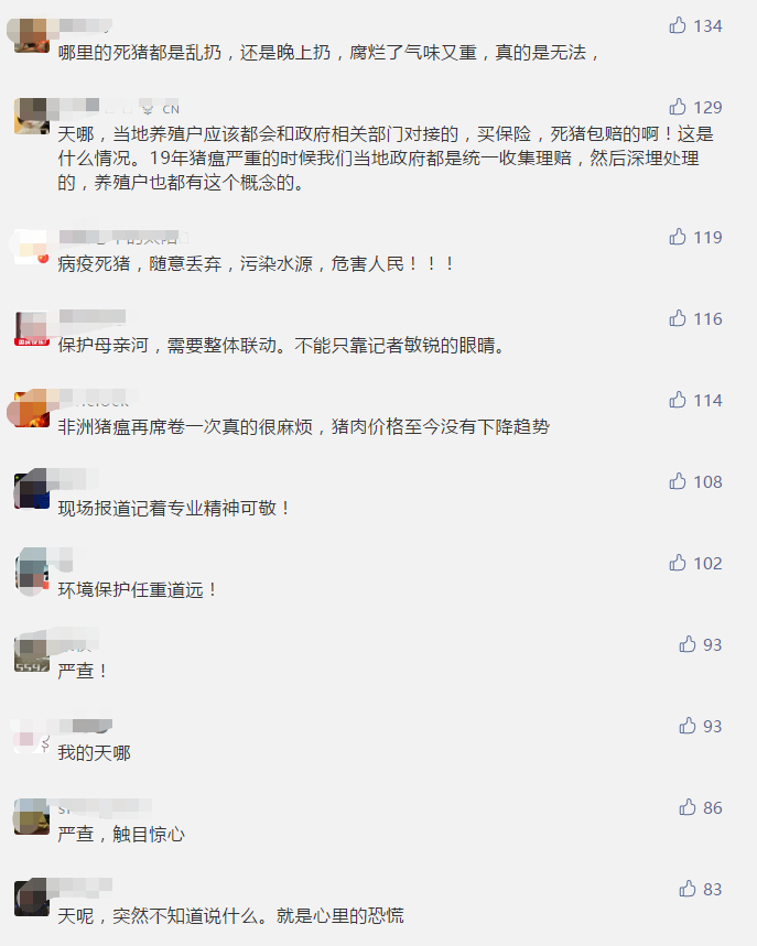 触目惊心！黄河大堤内哪来这么多死猪？网友热议严查！