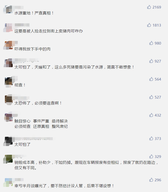 触目惊心！黄河大堤内哪来这么多死猪？网友热议严查！