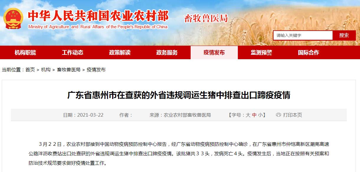 广东省排查出一起猪口蹄疫疫情
