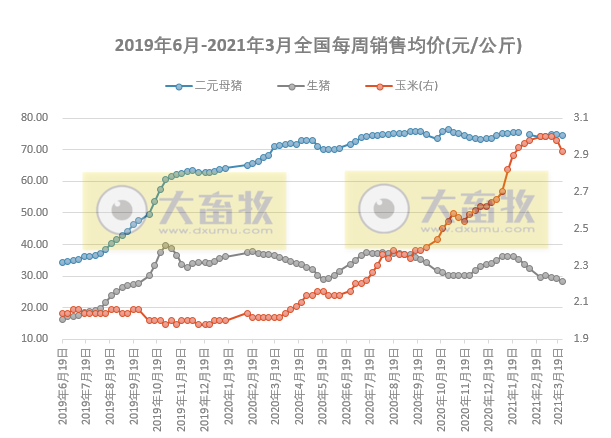 2021.3.31-今日猪价继续下行，二元母猪、仔猪及饲料价格均下跌，河南部分地区能繁母猪存栏量降幅近五成，正大和双胞胎生猪项目陆续开工