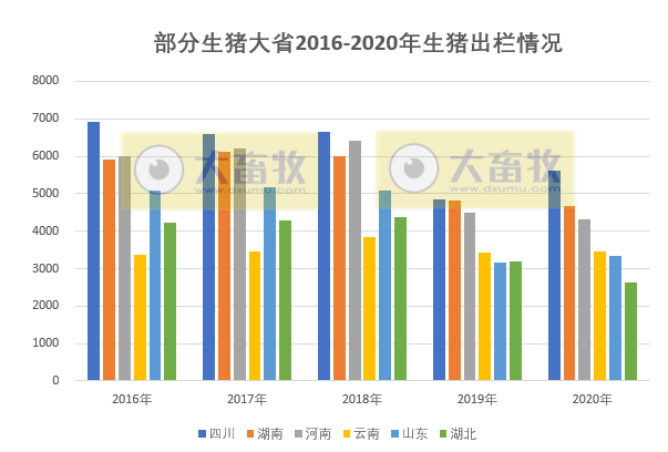 非瘟的影响到底有多大？ 生猪业恢复得如何？2020年全国各省生猪情况