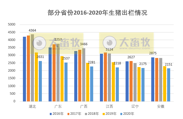 非瘟的影响到底有多大？ 生猪业恢复得如何？2020年全国各省生猪情况