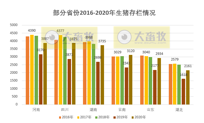 非瘟的影响到底有多大？ 生猪业恢复得如何？2020年全国各省生猪情况