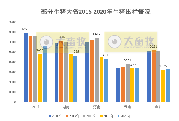 非瘟的影响到底有多大？ 生猪业恢复得如何？2020年全国各省生猪情况