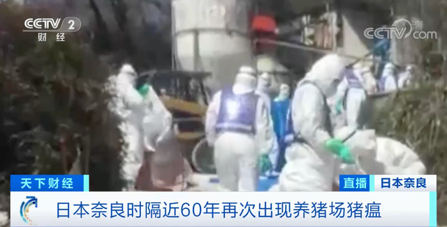 2021.4.4-今日猪价多地继续下跌，多家饲企下调饲料价格，广东今年生猪存栏目标2010万头，时隔60年日本奈良养猪场出现猪瘟