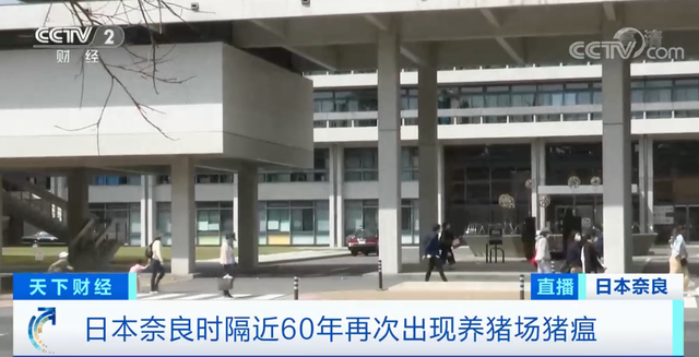 时隔60年，日本奈良养猪场出现猪瘟！