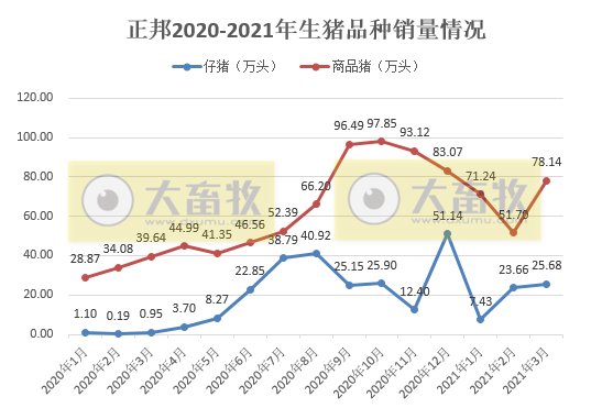 正邦科技:单月生猪销量回归100万头,第1季度生猪销量同比增长146%