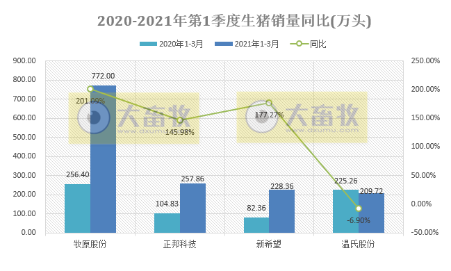 非瘟再次突袭，他们能完成生猪出栏目标吗？