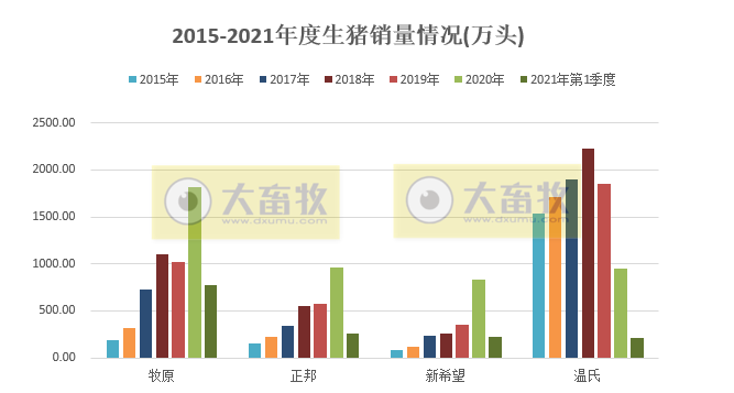 非瘟再次突袭，他们能完成生猪出栏目标吗？