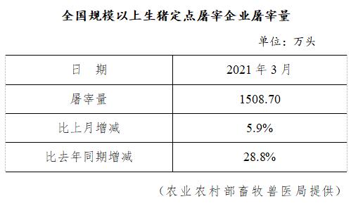 2021年3月及第1季度生猪行业数据汇总