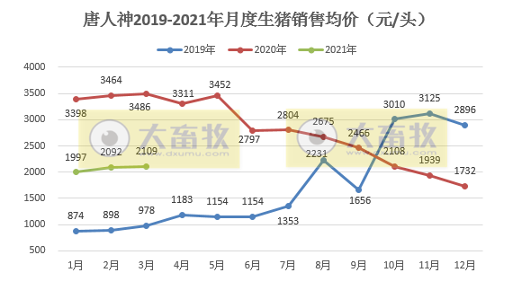 唐人神1季度生猪销量46.3万头,同比增长近3倍,预计今年出栏量200万头