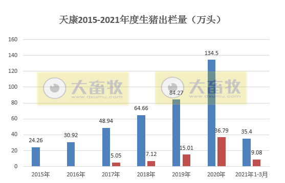 天康1季度生猪销量35.4万头,同比增长128.83%