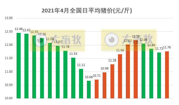 2021.4.20-今日猪价北方止跌上涨，官方称2季度规模猪场肥猪出栏量预增50%；1季度新增1.36万家猪企同增19%
