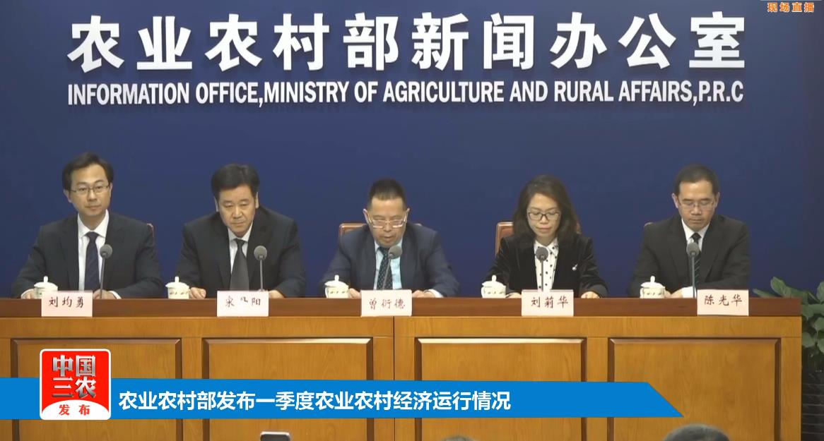 今年以来，玉米价格高位运行，后期如何走势？官方这样回复