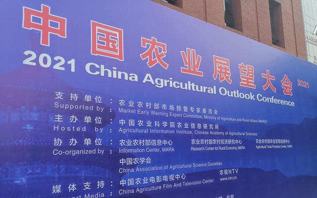 官方发布《中国农业展望报告2021-2030》