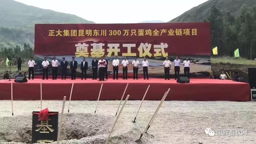 正大家禽再布局:拟在安徽落地1亿只肉鸡、600万只蛋鸡等全产业链项目