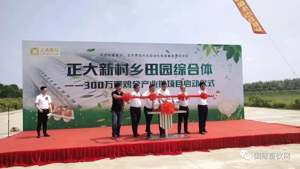 正大家禽再布局:拟在安徽落地1亿只肉鸡、600万只蛋鸡等全产业链项目