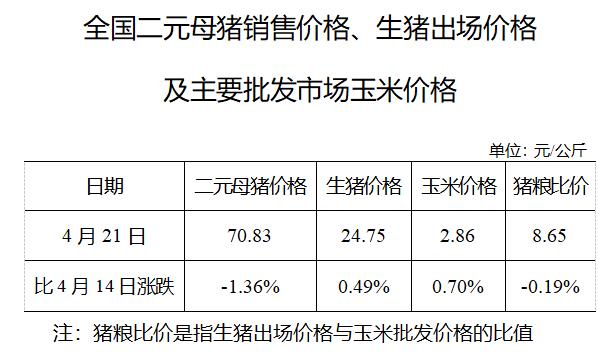 2021.4.29-今日猪价大面积下跌,二元母猪价格近2年首次同环比均降,正邦去年净利同增近2.5倍1季度净利下降7成