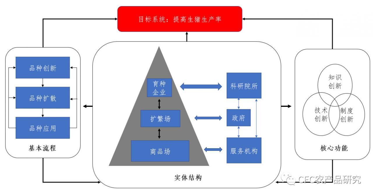 国内外生猪育种对比及启示