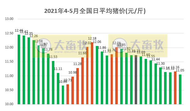 2021.5.4-今日猪价大面积出现下跌，新版非瘟应急方案在临床症状、剖检病变和恢复生产条件等均有新增内容