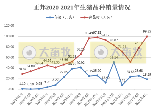 正邦科技：前4月生猪销量同比增长145%，收入超110亿元